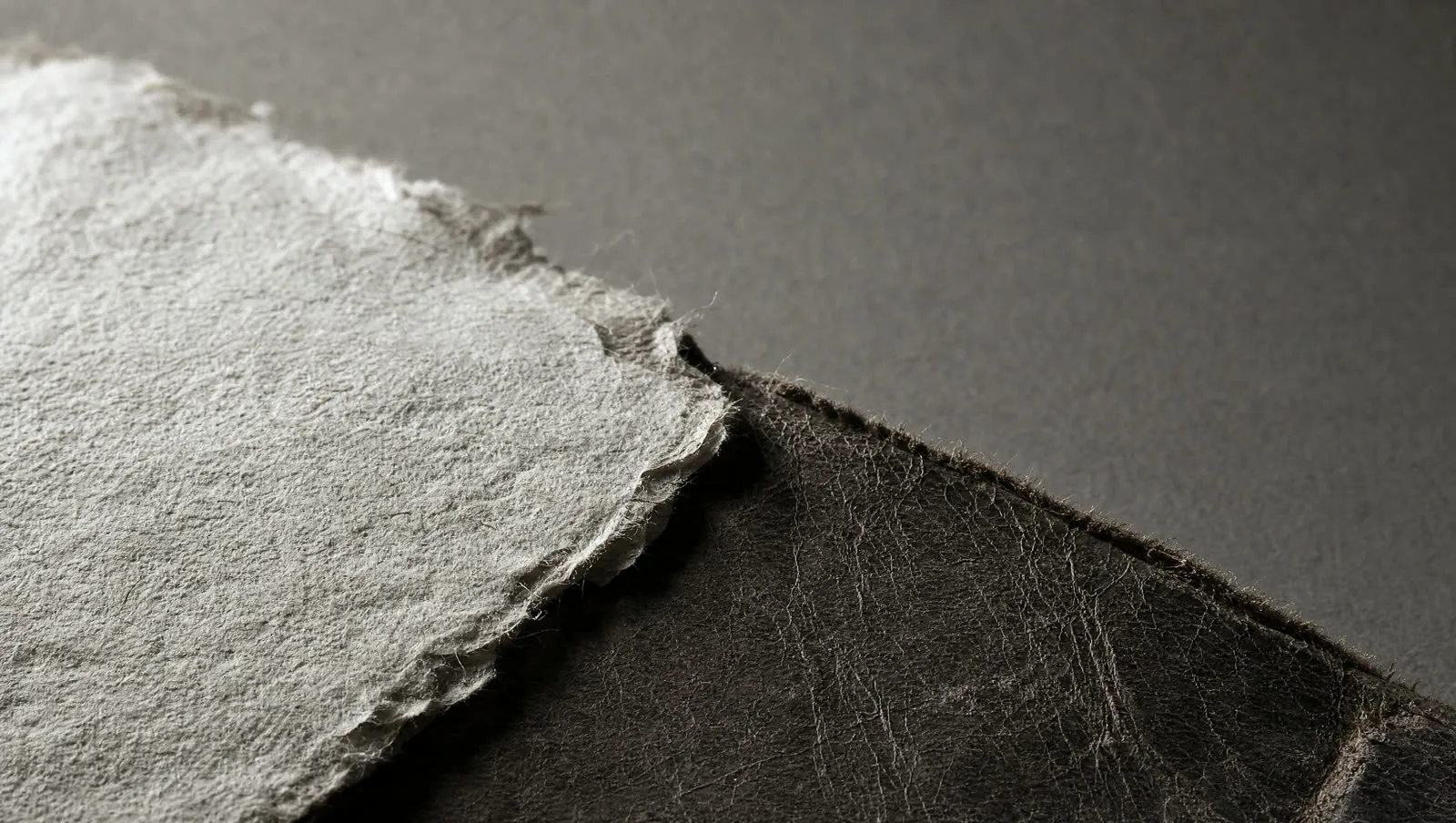 Macro d’un papier de coton et d’un cuir usé, révélés par une lumière rasante